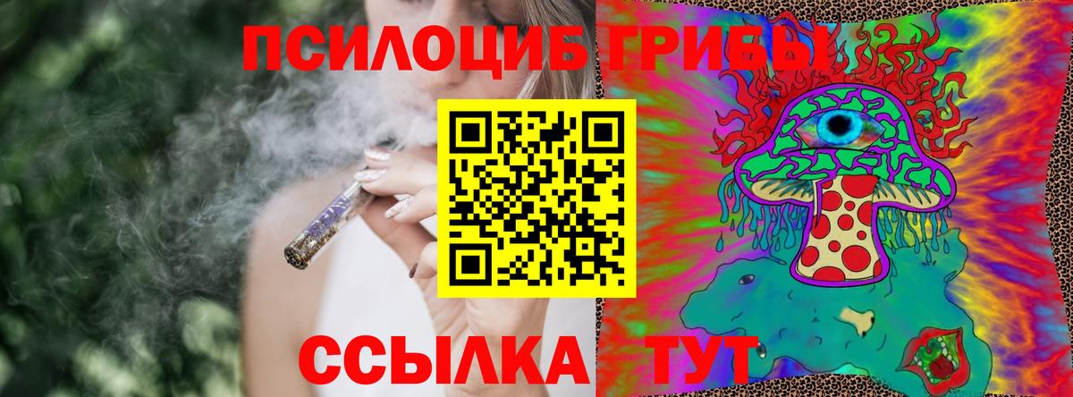 Псилоцибиновые грибы Psilocybe  Вход с VPN  Мончегорск 