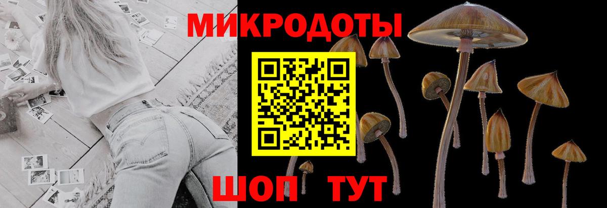Галлюциногенные грибы Magic Shrooms Мончегорск